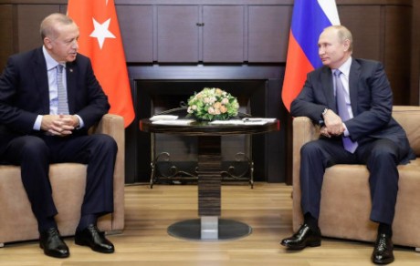 Presidents of Russia and Turkey meet in Sochi